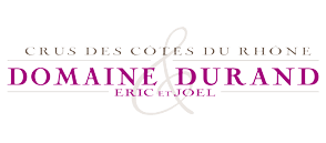 (image for) Durand GEVREY CHAMBERTIN 2009 (GL)